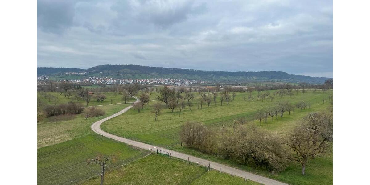 Hochparterre Tübingen - 3 Zimmer, 98 m&sup2;, 1.380&euro; | Angebot:25831255