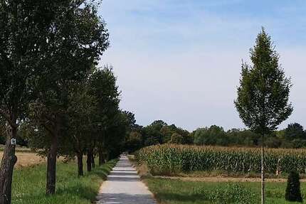 Wohnung Stuttgart-Möhringen Möhringen - 2 Zimmer, 54 m&sup2;, 950&euro; | Angebot:25479941