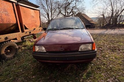 Ford Fiesta 90.710 km 600 &euro; Ebhausen 72224