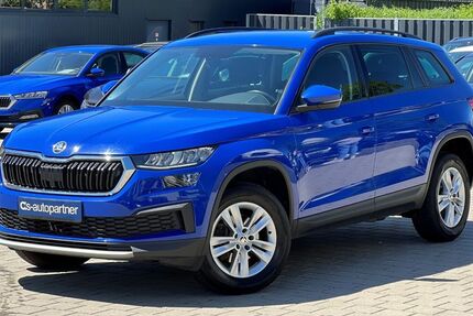 Skoda Kodiaq 170.000 km 19.600 &euro; Sindelfingen 71065