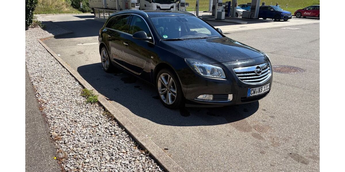 Opel Insignia 137.368 km 5.600 &euro; Wildberg 72218