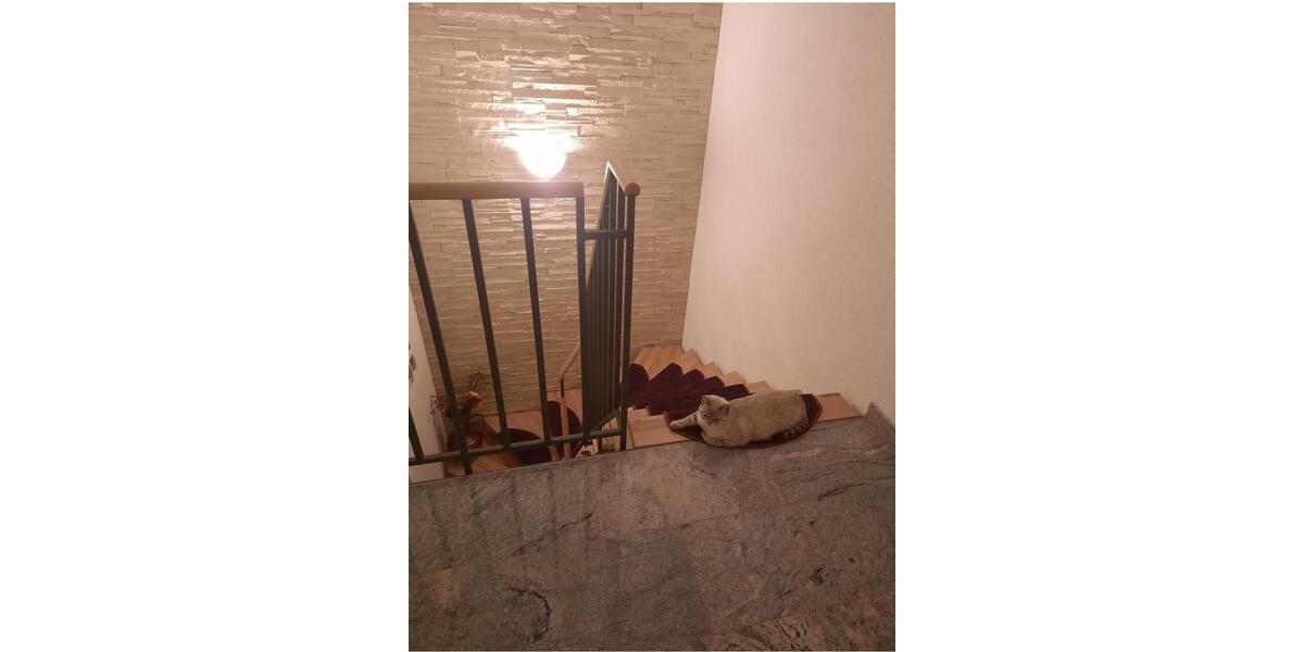 Einfamilienhaus Wannweil - 5.5 Zimmer, 125 m&sup2;, 529.000&euro; | Angebot:26003403