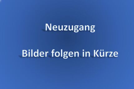 Seat Alhambra 199.500 km 15.600 &euro; Sindelfingen 71065