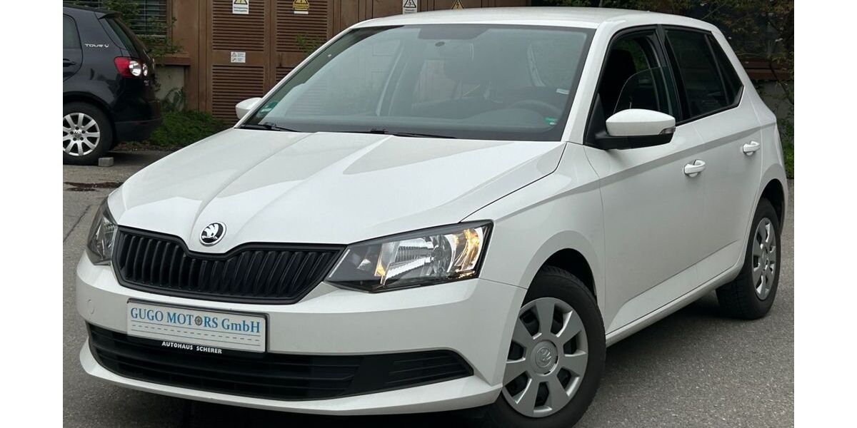 Skoda Fabia 87.000 km 7.999 &euro; Reutlingen 72766