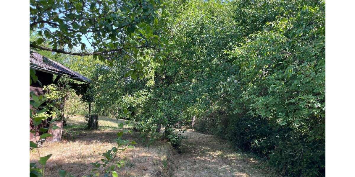 Grundstück Aidlingen - 49.000&euro; | Angebot:27003522