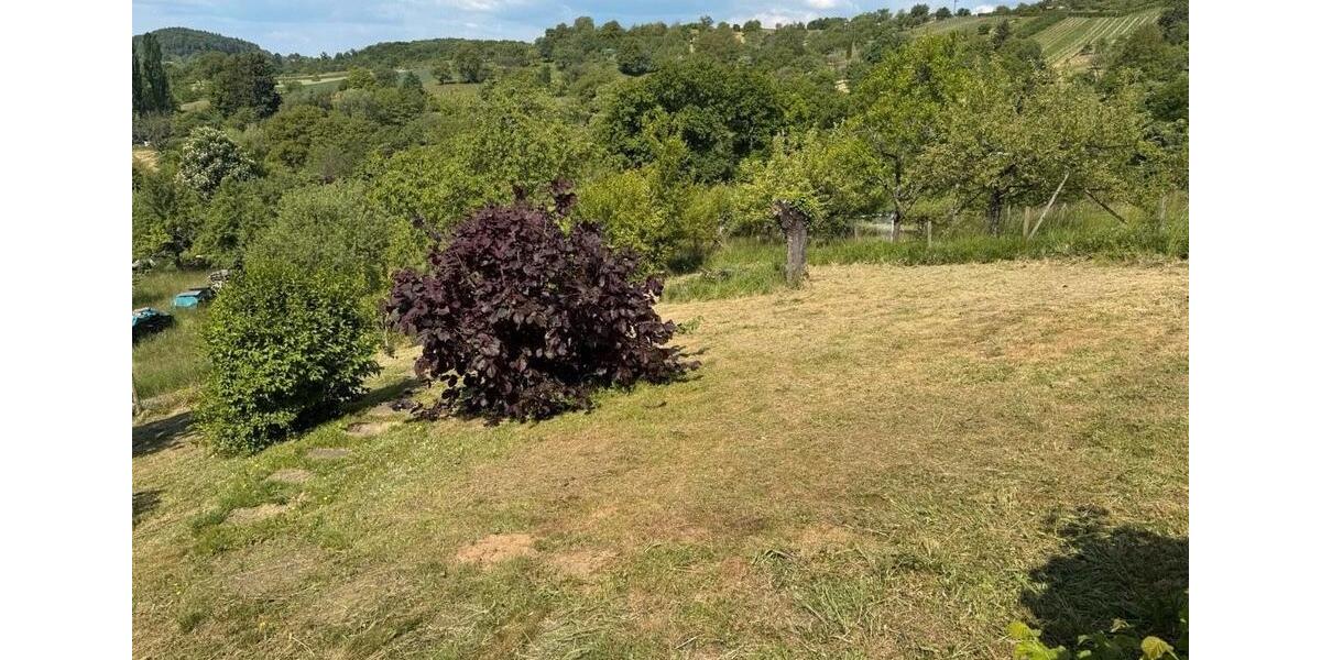 Grundstück Dettingen an der Erms - 35&euro; | Angebot:23902604