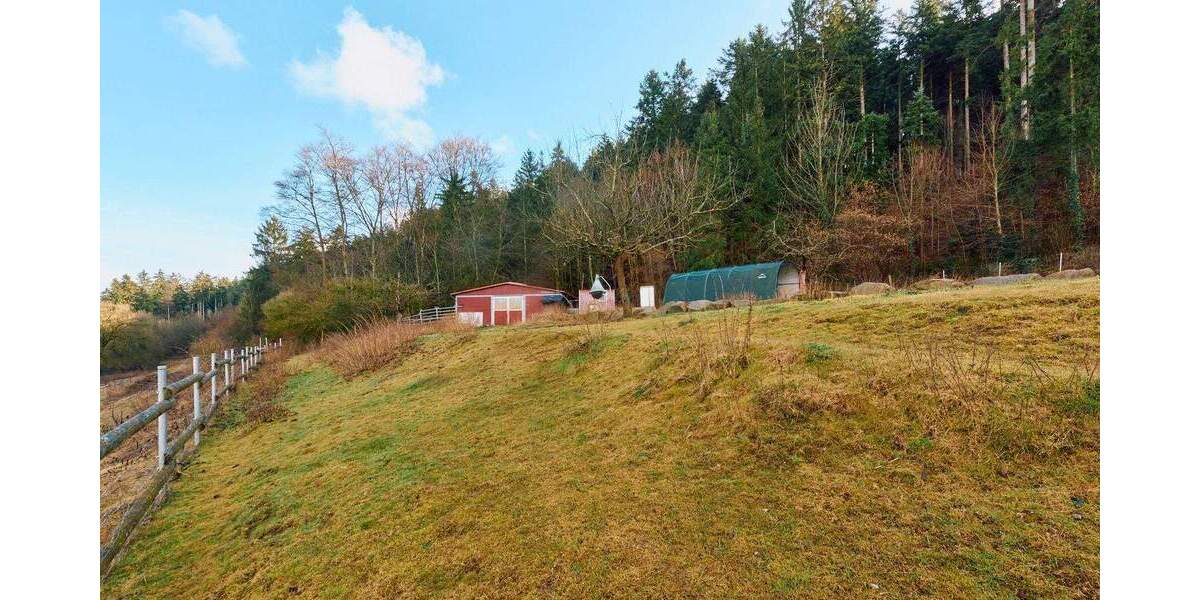 Mehrfamilienhaus, Wohnhaus Horb am Neckar Talheim - 8 Zimmer, 294 m&sup2;, 945.000&euro; | Angebot:25731843