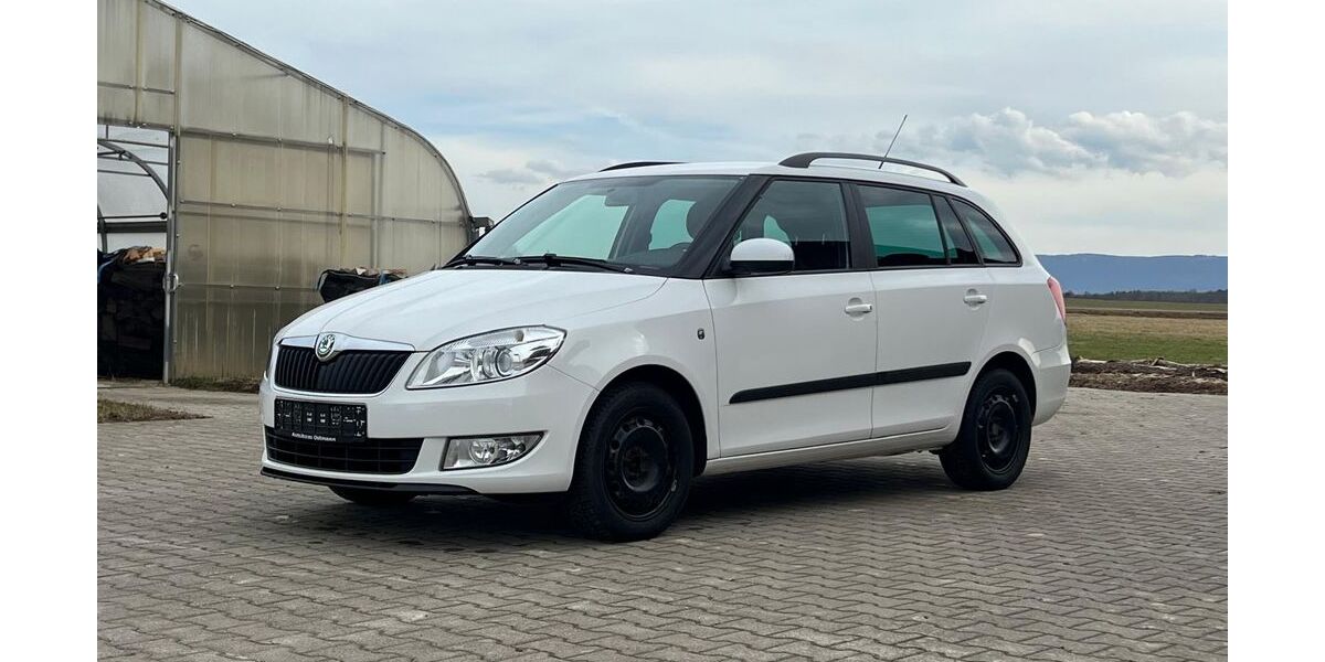 Skoda Fabia 190.000 km 3.000 &euro; Reutlingen 72766