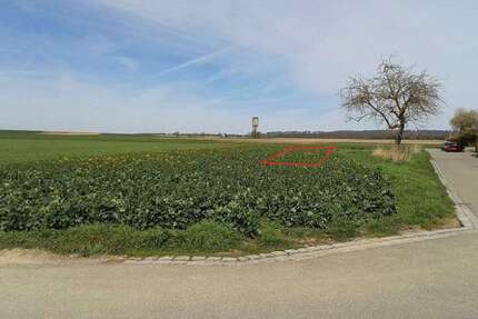 Grundstück Altdorf - 375.000&euro; | Angebot:26071119