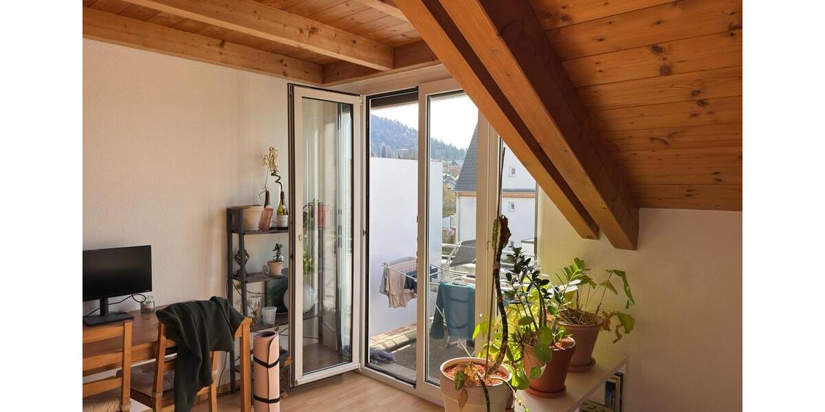 Dachgeschoßwohnung Reutlingen - 2 Zimmer, 54 m&sup2;, 780&euro; | Angebot:25919130