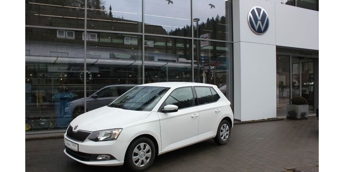Skoda Fabia 128.390 km 7.990 &euro; Wildberg 72218