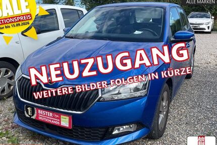 Skoda Fabia 60.538 km 12.470 &euro; Horb a/N 72160