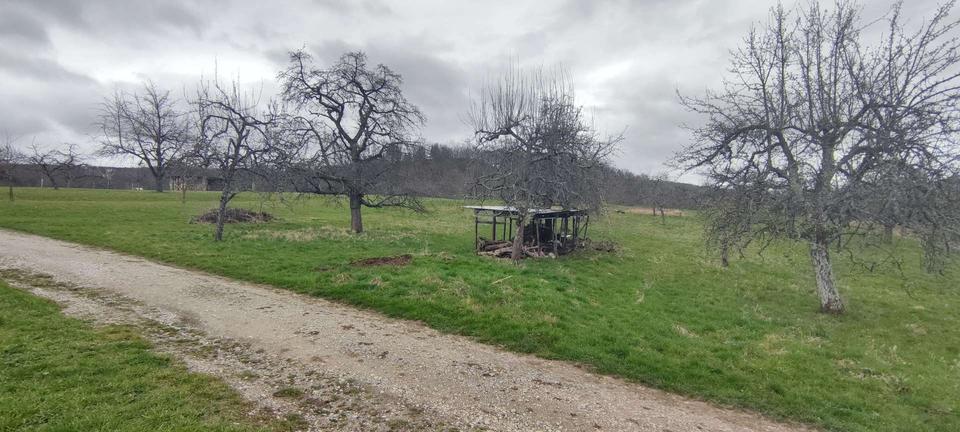 Grundstück Mössingen - 6.999&euro; | Angebot:17678153