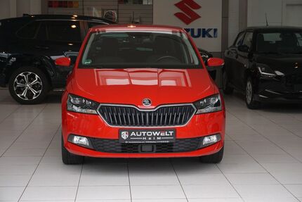 Skoda Fabia 80.850 km 9.880 &euro; Tübingen 72072