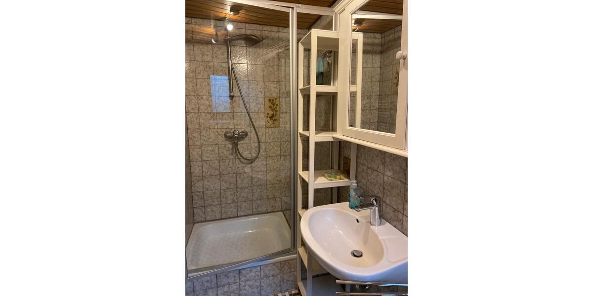 Etagenwohnung Nagold - 1 Zimmer, 39 m&sup2;, 480&euro; | Angebot:25146819