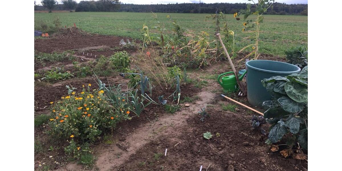 Grundstück Neuhausen auf den Fildern - 80&euro; | Angebot:10225183