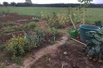 Grundstück Neuhausen auf den Fildern - 80&euro; | Angebot:10225183