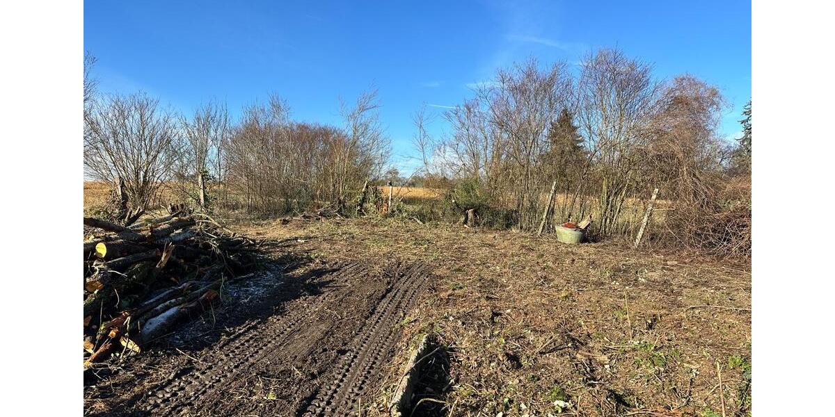 Einfamilienhaus Sindelfingen Darmsheim - 520.000&euro; | Angebot:24846632