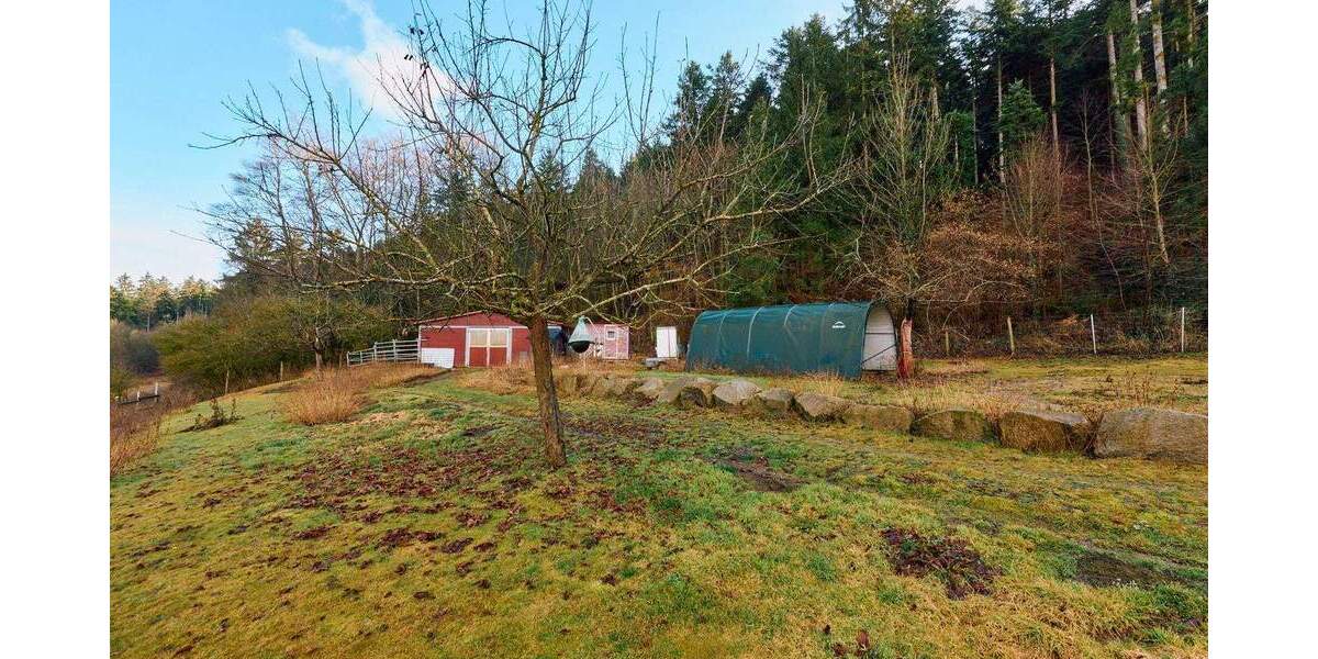 Mehrfamilienhaus, Wohnhaus Horb am Neckar Talheim - 8 Zimmer, 294 m&sup2;, 945.000&euro; | Angebot:25731843