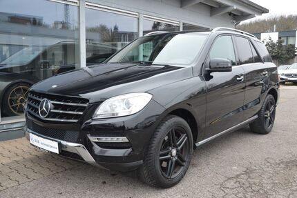 Mercedes-Benz ML 250 169.561 km 16.990 &euro; Herrenberg bei Stuttgart 71083