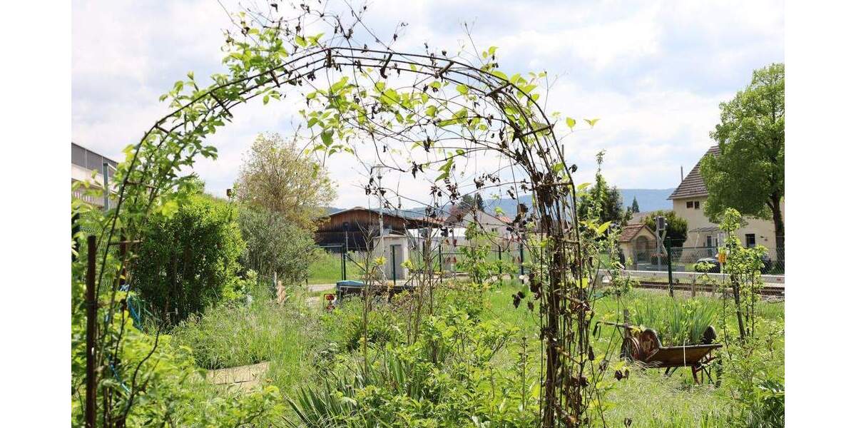 Grundstück Hechingen - 146.000&euro; | Angebot:25775852