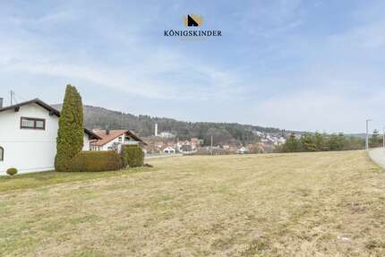 Grundstück Burladingen - 100.000&euro; | Angebot:24904820