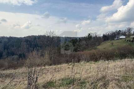 Grundstück Wildberg - 860.000&euro; | Angebot:26336747