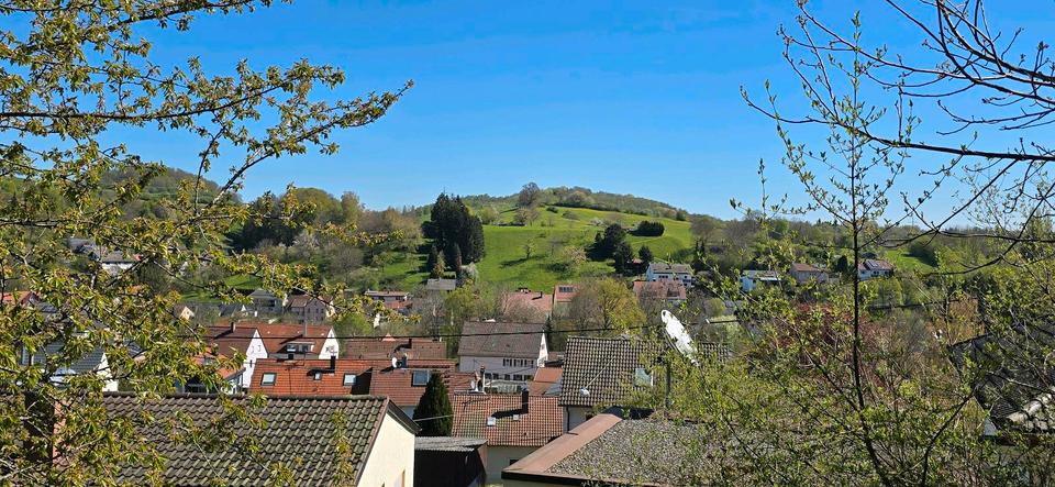Mehrfamilienhaus, Wohnhaus Reutlingen Reutlingen-Betzingen - 7 Zimmer, 300 m&sup2;, 1.200.000&euro; | Angebot:26368307