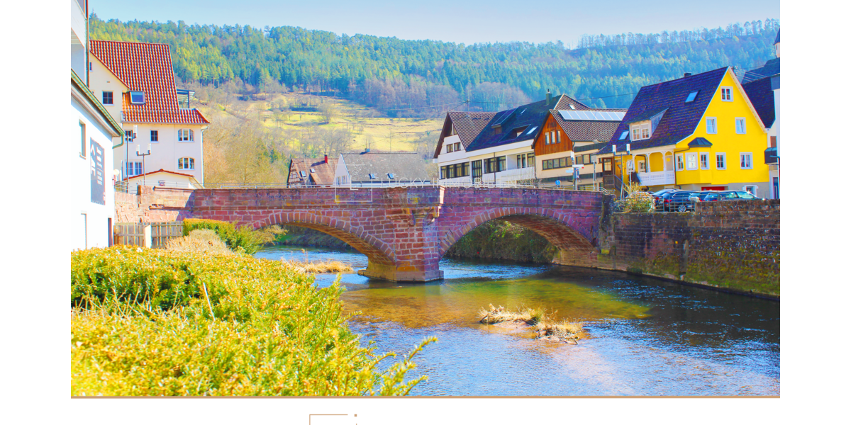 Einfamilienhaus Wildberg - 21 Zimmer, 813 m&sup2;, 1.180.000&euro; | Angebot:24548472