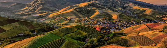 Schwäbische Alb Tübingen Natur Wandern Aussicht