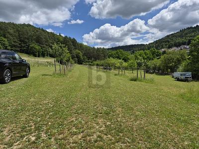 NATURIDYLLE TRIFFT AUF HÖCHSTEN WOHNKOMFORT - Einfamilienhaus Nagold | Angebot:26959830