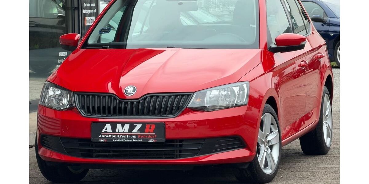 Skoda Fabia 175.000 km 6.190 &euro; Rohrdorf 72229