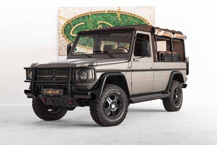 Mercedes-Benz G 230 2.954 km 65.000 &euro; Stuttgart 70599