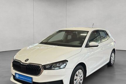 Skoda Fabia 72.939 km 11.890 &euro; Stuttgart 70190