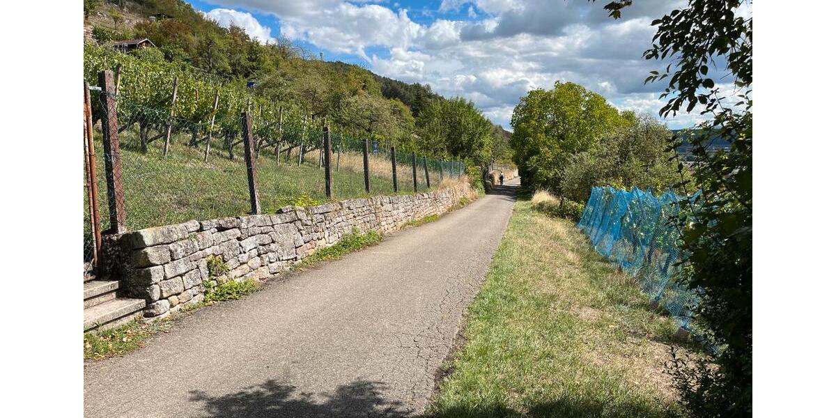 Grundstück Tübingen - 55.000&euro; | Angebot:24101823