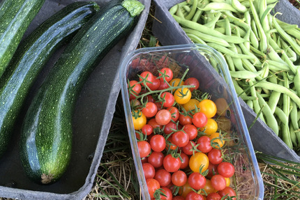 Grundstück Neuhausen auf den Fildern - 80&euro; | Angebot:10225183