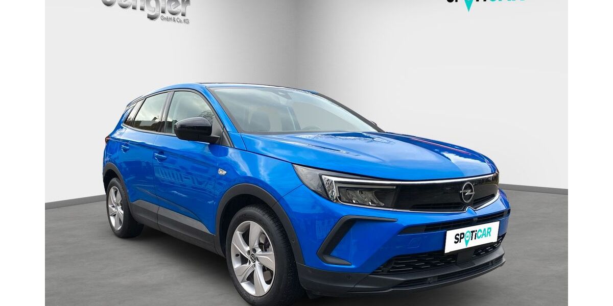 Opel Grandland (X) 55.000 km 23.990 &euro; Wildberg 72218