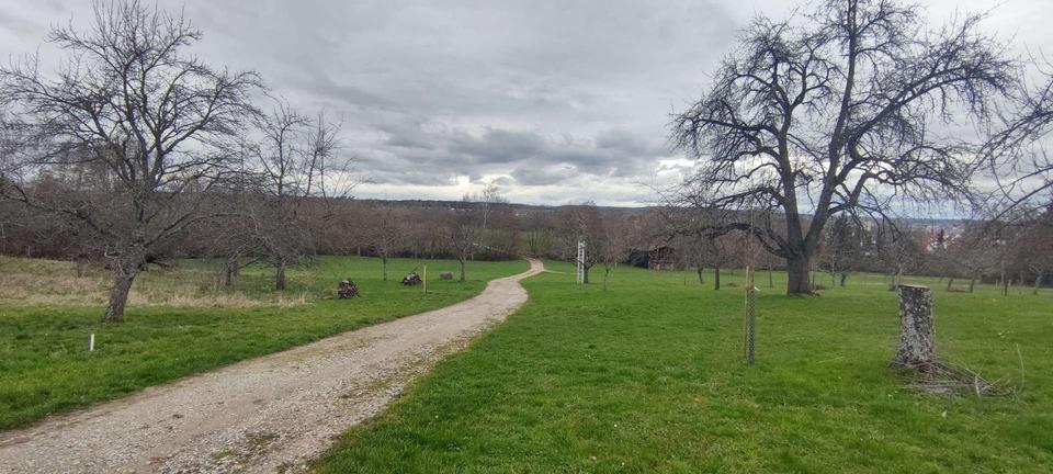 Grundstück Mössingen - 6.999&euro; | Angebot:17678153