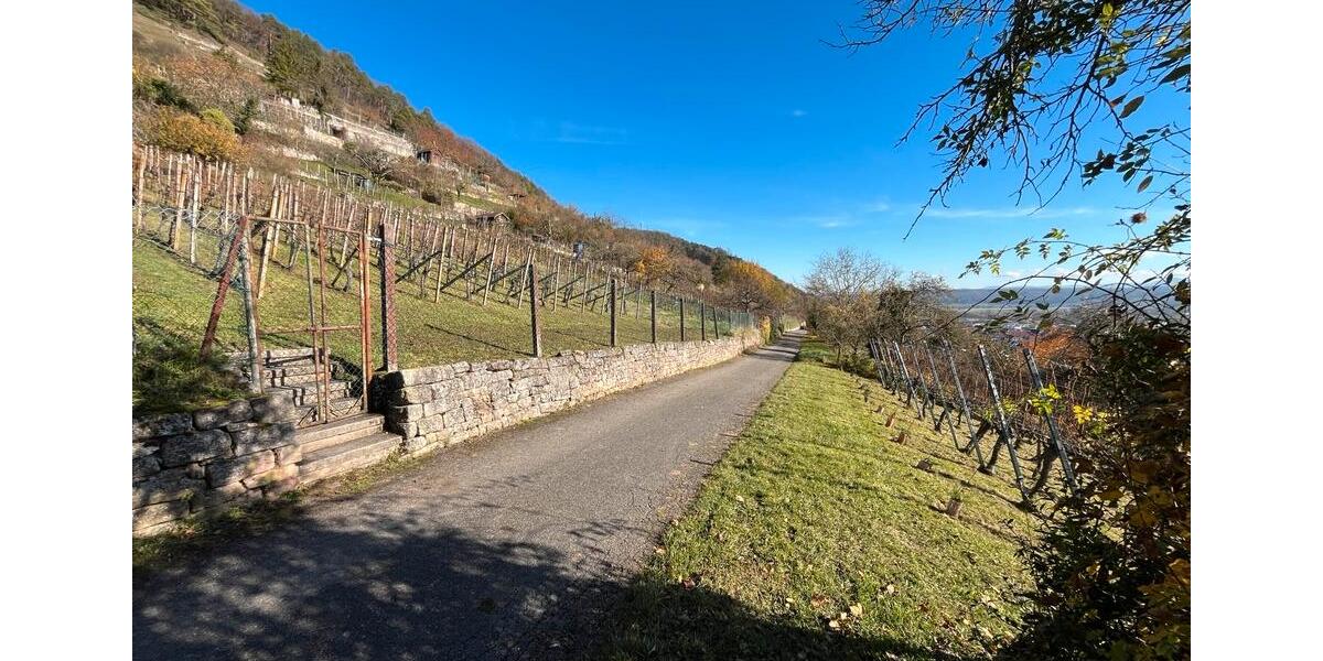 Grundstück Tübingen - 55.000&euro; | Angebot:24101823