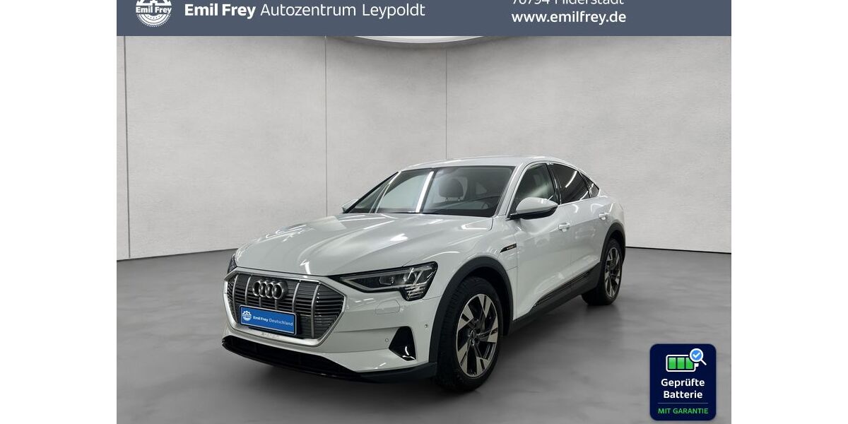 Audi e-tron 75.040 km 25.490 &euro; Filderstadt 70794