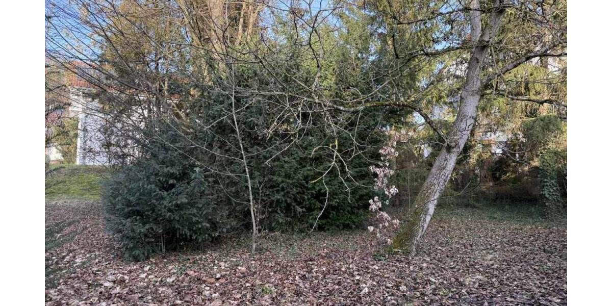 Grundstück Herrenberg - 1.450.000&euro; | Angebot:25690134