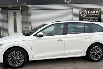 Skoda Octavia 102.400 km 19.690 &euro; Sindelfingen 71065