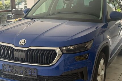 Skoda Kodiaq 168.200 km 20.350 &euro; Nürtingen 72622
