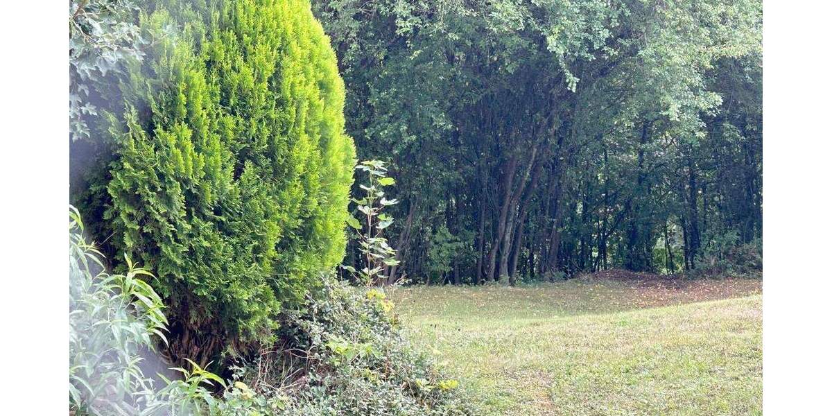 Etagenwohnung Wildberg - 2 Zimmer, 54 m&sup2;, 110.000&euro; | Angebot:25822684