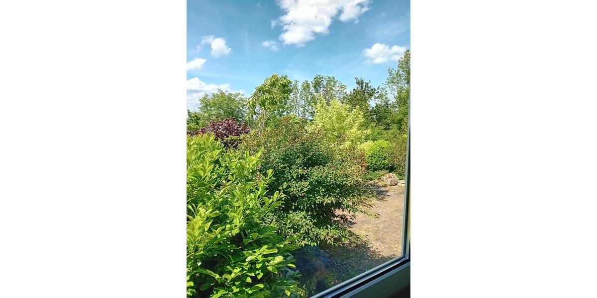 Gewerbeobjekt Haigerloch - 420&euro; | Angebot:25221004