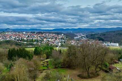 Sonstige Kirchentellinsfurt - 69.000&euro; | Angebot:25880432