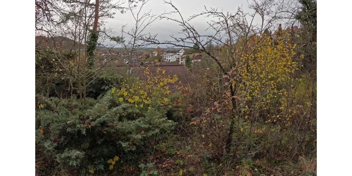 Einfamilienhaus Rottenburg am Neckar - 6 Zimmer, 172 m&sup2;, 242.500&euro; | Angebot:25833610