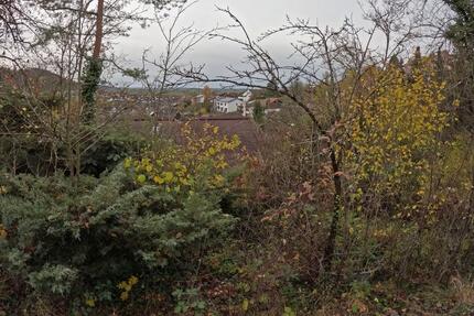 Haus Rottenburg am Neckar - 6 Zimmer, 172 m&sup2;, 242.500&euro; | Angebot:25833610