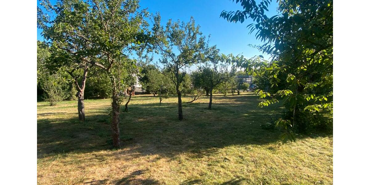 Mehrfamilienhaus, Wohnhaus Horb am Neckar - 17 Zimmer, 390 m&sup2;, 970.000&euro; | Angebot:26942192
