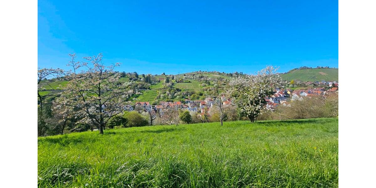 Grundstück Stuttgart Hedelfingen - 24.500&euro; | Angebot:24831456